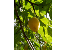 IMG 20160827 125546 HDR.jpg