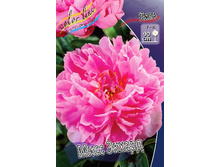 180���. ���� ���� ������(�������� ���� �� 1 ��., ����������� ����� 1��.).jpg