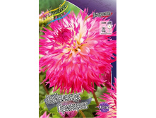 83,5���. �������� ��������� ��������(�������� ���� �� 1 ��., ����������� ����� 1��.).jpg