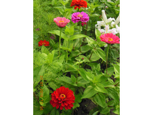 DSCN2134.JPG