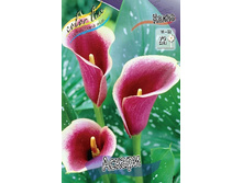 79,75���. ����� ������(�������� ���� �� 2 ��., ����������� ����� 1��.).jpg