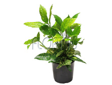 ������ �������������� 13�25. 294 ���.jpg