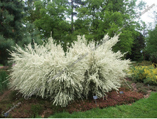 121���. �������� ������.jpg