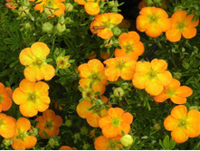 �������� ����� ����-170�.jpg