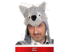 4571.jpg