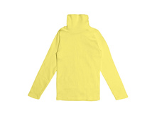 165�. b1504 zhelt.jpg