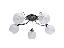 358018605 1700�.jpg