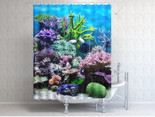 ������� �������.jpg