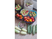 ������� ������... ��������� �� �������