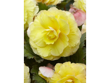 56,1���. ������� ������� ������(�������� ���� �� 4 ��., ����������� ����� 1��.).jpg