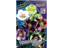 156,3���. �������� ����������, �����(�������� ���� �� 1 ��., ����������� ����� 1��.).jpg