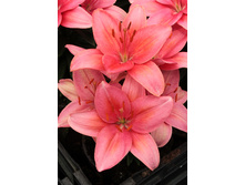 29,84���. ����� ����� ����(��� 5 ��. ���������� �� 2��.).jpg