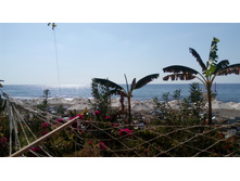 IMG 20161024 133704.jpg