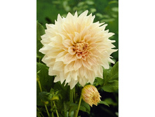 79,3���. �������� ���� � ����(�������� ���� �� 1 ��., ����������� ����� 1��.).jpg