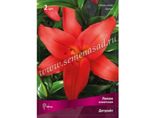 ����� �������.jpg