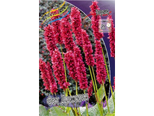 172,1���. ����� ��� ������(�������� ���� �� 1 ��., ����������� ����� 1��.).jpg