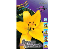 14,69���. ����� ������ �������(��� 7 ��. ���������� �� 2��.).jpg