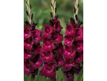 9,37���. ��������� ������(���������� ������ ������ ���������� �� 7 ��.).jpg