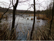 IMG 20161029 090045.jpg