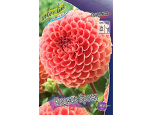 77,6���. �������� ������ �����(�������� ���� �� 1 ��., ����������� ����� 1��.).jpg