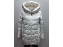 6036 2.jpg   4900�.