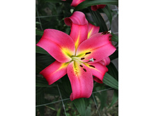 32,07���. ����� ������(��� 7 ��. ���������� �� 2��.).jpg