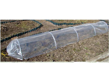 ���� - ������� 5 �. ������ �������� - ��� 559 ���. �������� �̣��� �ģ� �������� �� ��� (�.�. �� ����� � ����).