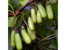 274���. ��������� ��������� �������� (�����).jpeg