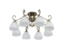 315013008 3200�.jpg