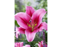 29,03���. ����� ���� ������(��� 7 ��. ���������� �� 2��.).jpg