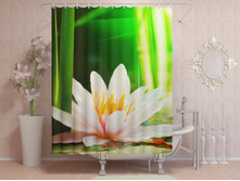 ��������� ��������.jpg