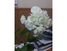 20160919 094550.jpg