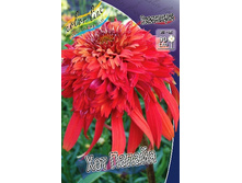 279,5���. �������� ��� ������(�������� ���� �� 1 ��., ����������� ����� 1��.).jpg