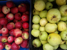 ������ ����� ����� ( ���������, ���������)