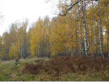 DSCN3266.JPG
