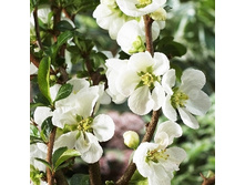 128���. ���� ������������ (���������) ���� �����.jpg