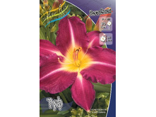 164,2���. �������� ���(�������� ���� �� 1 ��., ����������� ����� 1��.).jpg