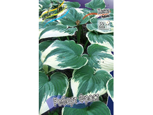 70,25���. ����� ������ �����(�������� ���� �� 2 ��., ����������� ����� 1��.).jpg