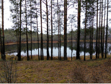 ������������