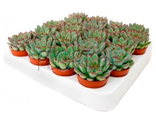 �������� �������� 8�10. 129,15 ���.jpg