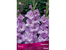 ��������� �����.jpg