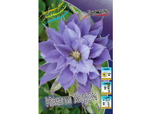 136,6���. �������� ������ �����(�������� ���� �� 2 ��., ����������� ����� 1��.).jpg