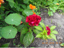 DSCN2148.JPG