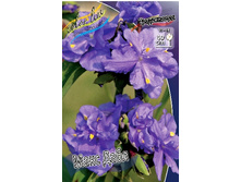 113,7���. ������������ ���� ����(�������� ���� �� 1 ��., ����������� ����� 1��.).jpg