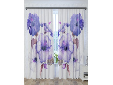 300052 ������.jpg