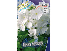 78,15���. ����� ���� ������(�������� ���� �� 2 ��., ����������� ����� 1��.).jpg