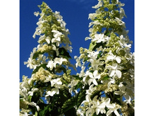 214���. ��������� ����������� ������.jpg