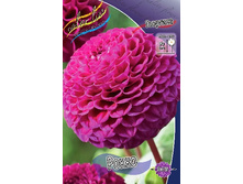 63,1���. �������� �����(�������� ���� �� 1 ��., ����������� ����� 1��.).jpg