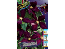 136,6���. �������� ��������(�������� ���� �� 2 ��., ����������� ����� 1��.).jpg