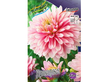 81,8���. �������� �������(�������� ���� �� 1 ��., ����������� ����� 1��.).jpg